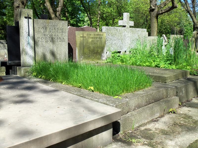 Zdjęcie grobu Józef Podziński (1)