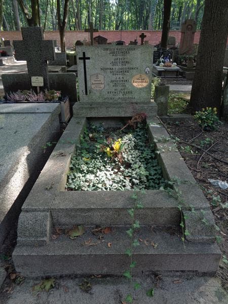 Zdjęcie grobu Michał Jarosiński (1)