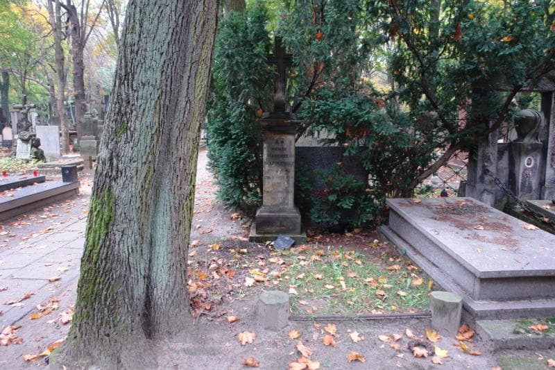 Zdjęcie grobu: Feliks Maciejewski
