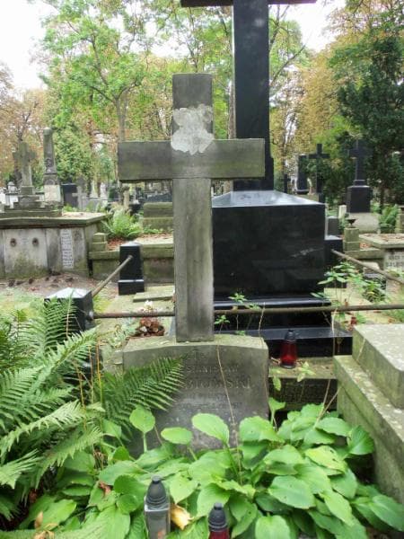 Zdjęcie grobu Adam Stanisław Gołębiowski (2)