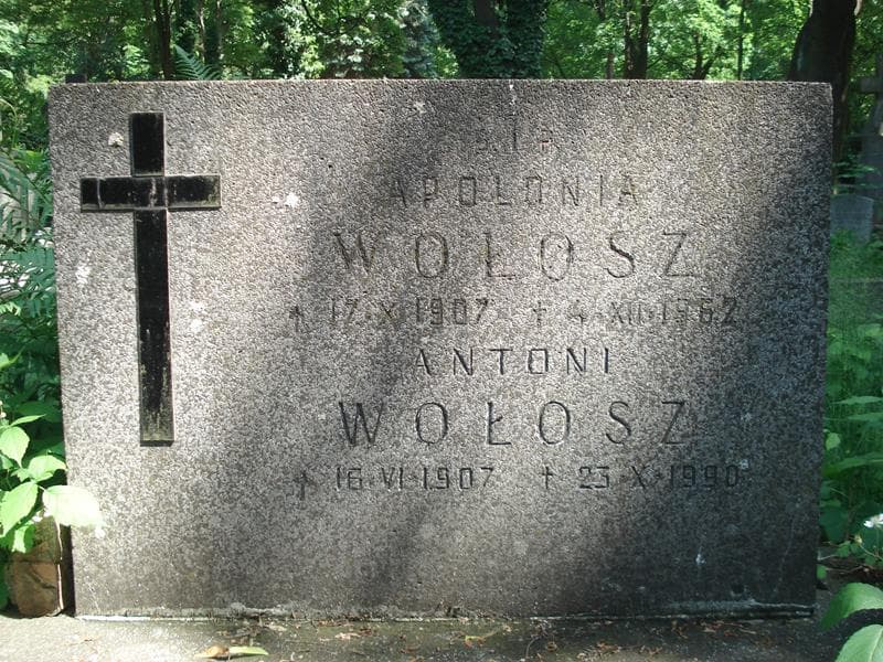 Zdjęcie grobu Apolonia Wołosz (1)