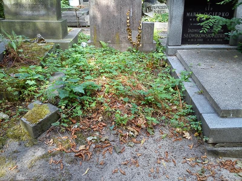 Zdjęcie grobu Pole Grobowe (1)