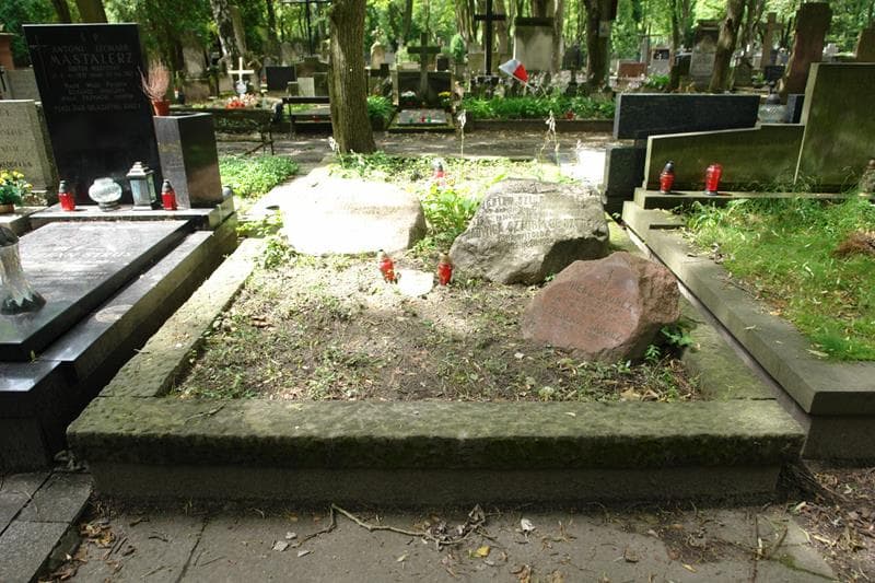 Zdjęcie grobu: Czesław Sawicz