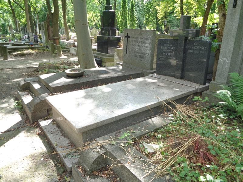 Zdjęcie grobu: Stanisław Derbin