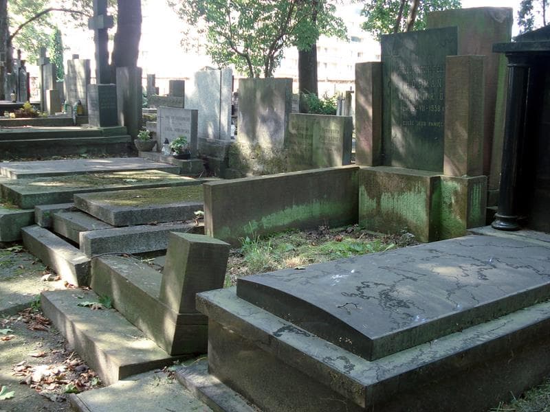 Zdjęcie grobu: Witold Antoni Feliks Hofman