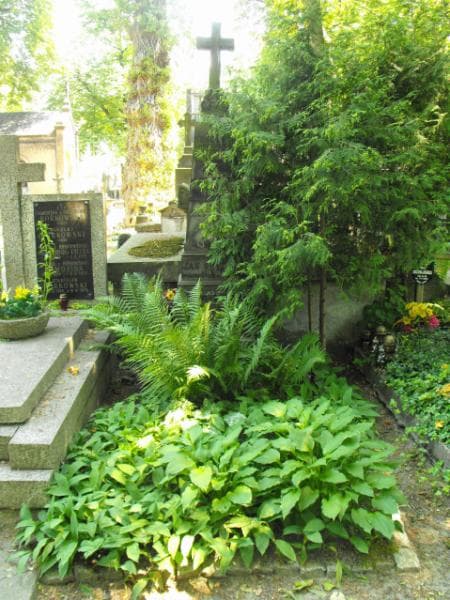 Zdjęcie grobu Jan Seydlitz (2)