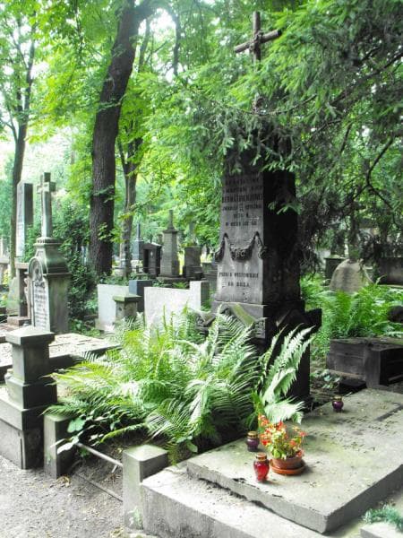Zdjęcie grobu Antonina Bernatowiczowa (1)