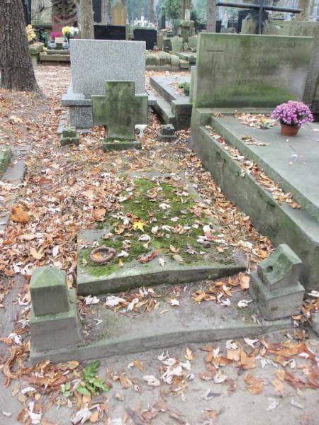 Zdjęcie grobu: Julja Jentys