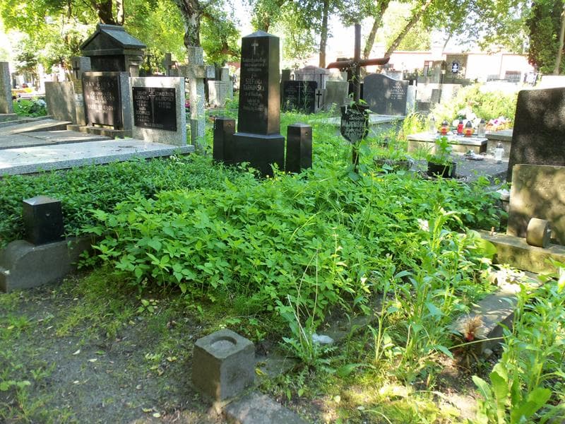 Zdjęcie grobu Teodora Majewska (1)