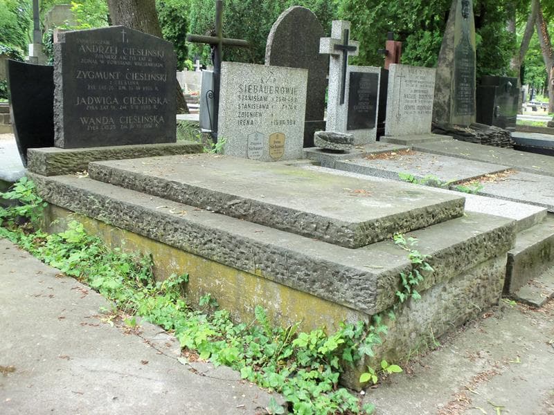 Zdjęcie grobu Wanda Cieślińska (1)