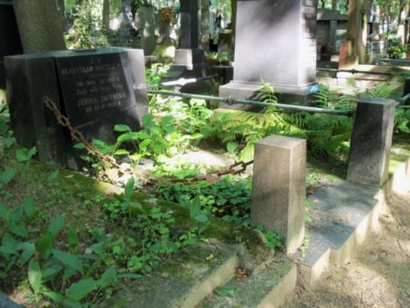Zdjęcie grobu Władysław Maciejewski (1)