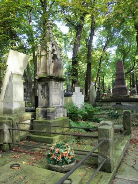 Zdjęcie grobu Agata Maliszewska (1)