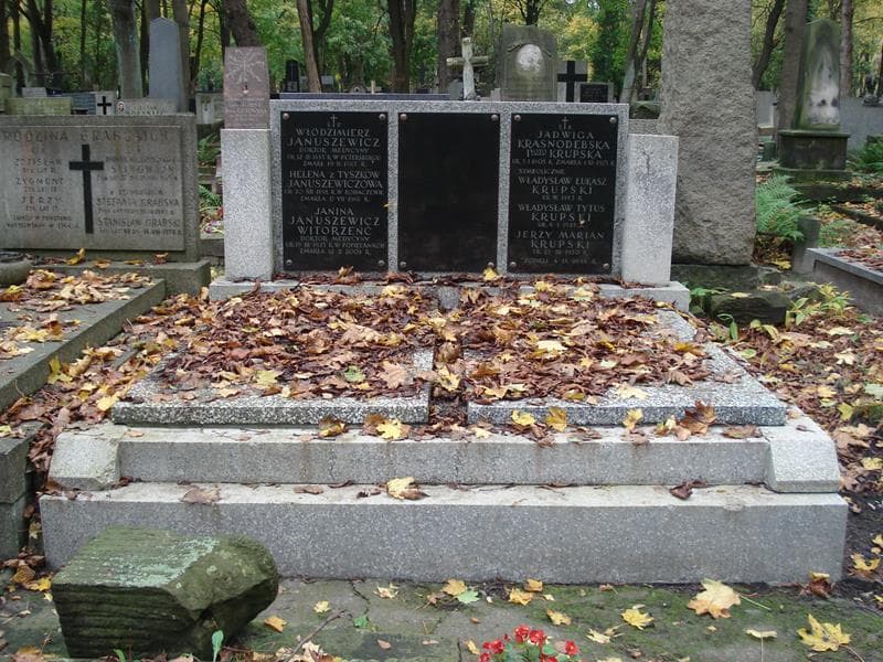 Zdjęcie grobu: Włodzimierz Januszewicz