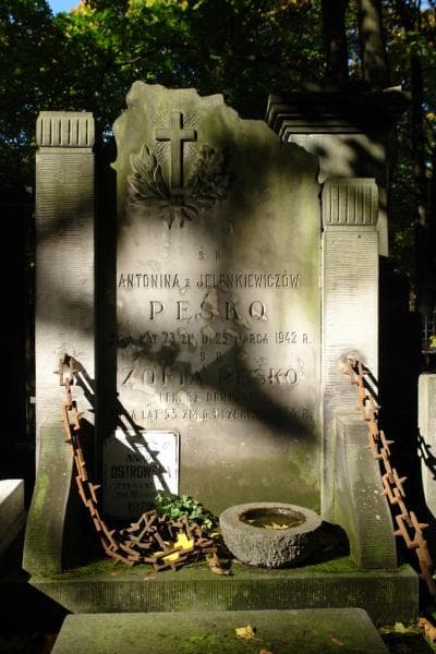 Zdjęcie grobu Anna Ostrowska (2)