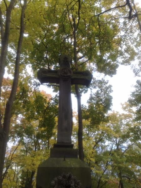 Zdjęcie grobu Franciszek Salezy Dmochowski (2)