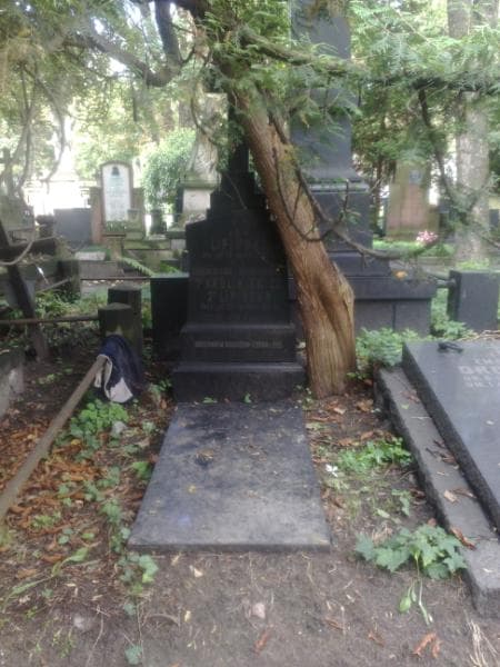 Zdjęcie grobu: Bronisława Lipińska