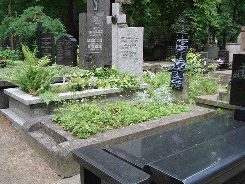 Zdjęcie grobu: Stefan Marczyński
