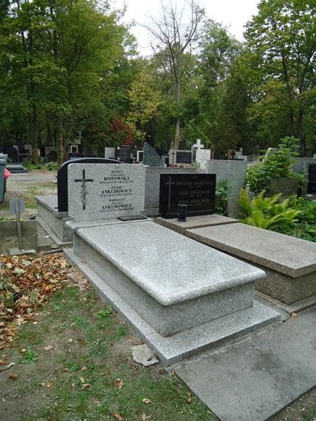 Zdjęcie grobu Otton Ankudowicz (1)