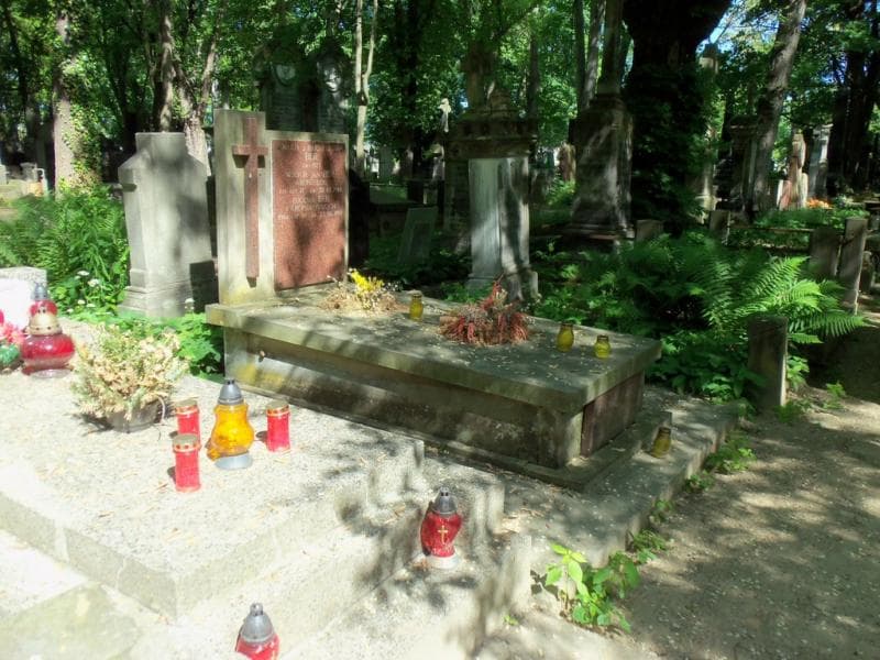 Zdjęcie grobu Wiktor Jan Ber (1)