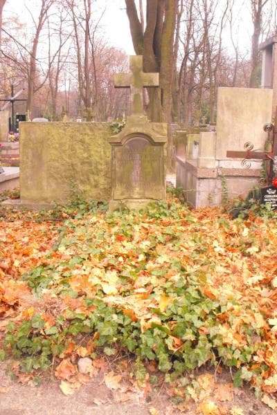 Zdjęcie grobu: Helena Wolmerowa