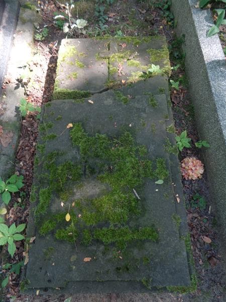 Zdjęcie grobu Leokadia Turczyńska (2)