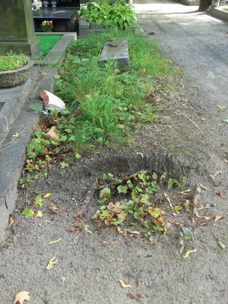 Zdjęcie grobu: Pole Grobowe