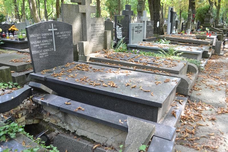 Zdjęcie grobu: Wincenty Dąbrowski