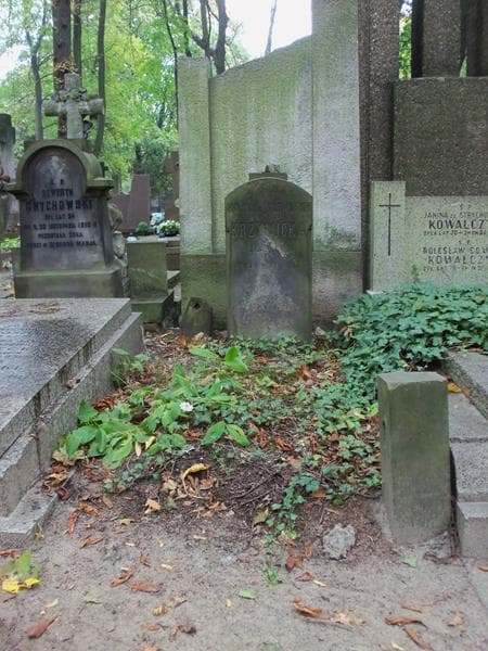 Zdjęcie grobu: Marja Krzywicka