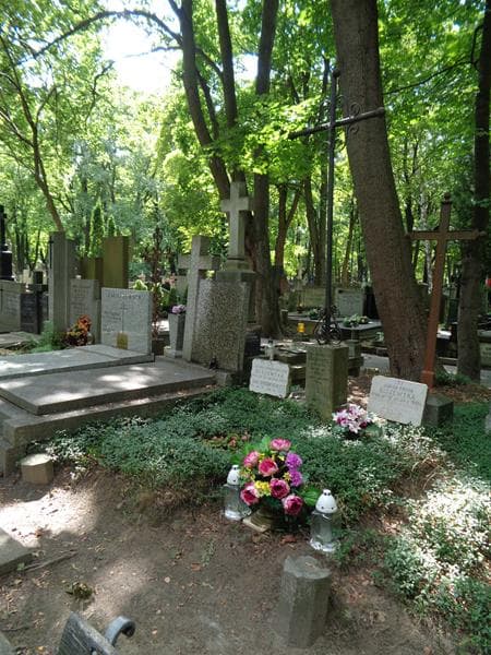 Zdjęcie grobu: Jan Brodkiewicz