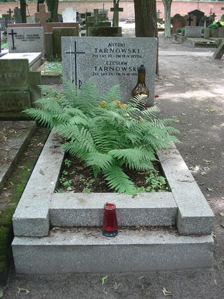 Zdjęcie grobu: Czesław Tarnowski