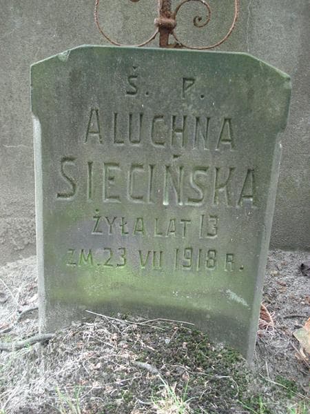 Zdjęcie grobu Aluchna Siecińska (2)