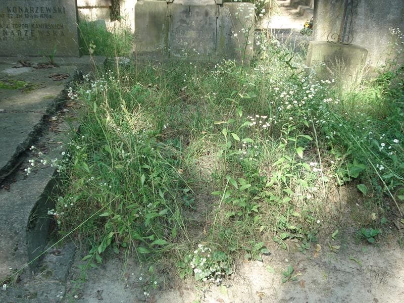 Zdjęcie grobu: Pole Grobowe
