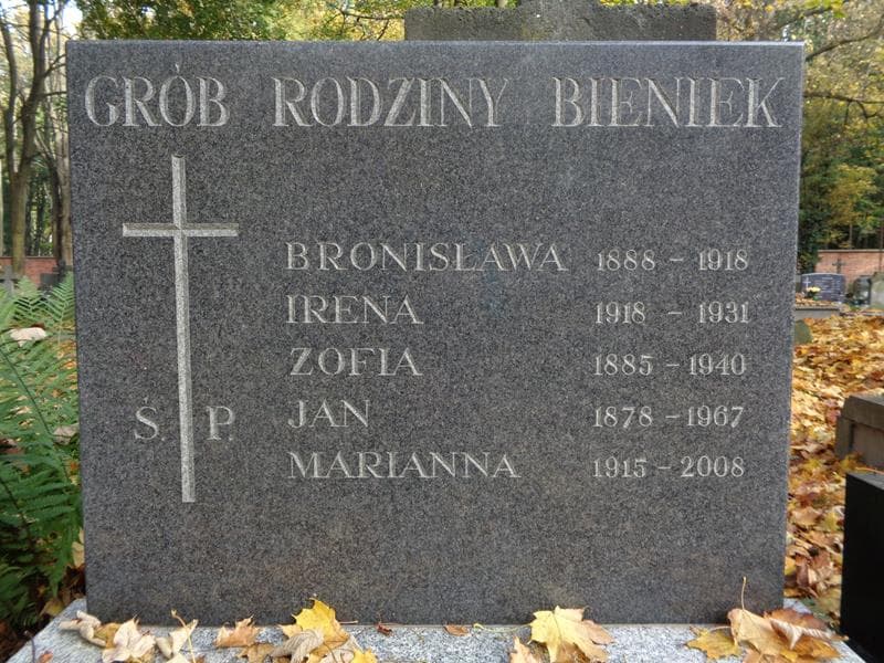 Zdjęcie grobu Jan Bieniek (2)