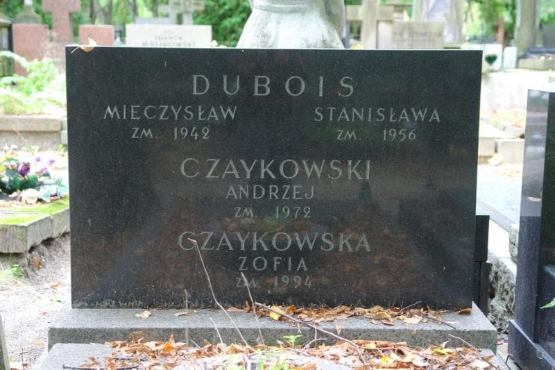 Zdjęcie grobu Andrzej Czaykowski (2)
