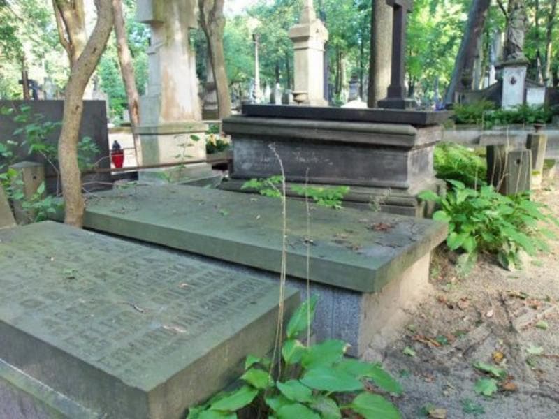Zdjęcie grobu Tekla Majchrzakowska (2)
