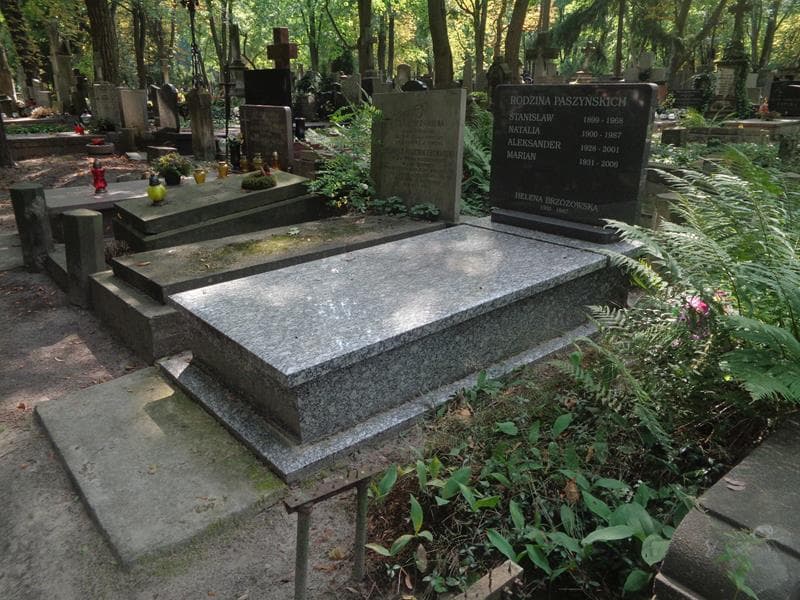 Zdjęcie grobu: Aleksander Paszyński