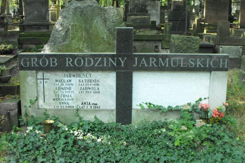 Zdjęcie grobu Anna Jarmulska (2)