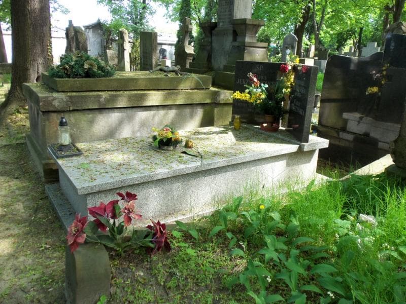 Zdjęcie grobu Zofia Jerzmanowska (1)