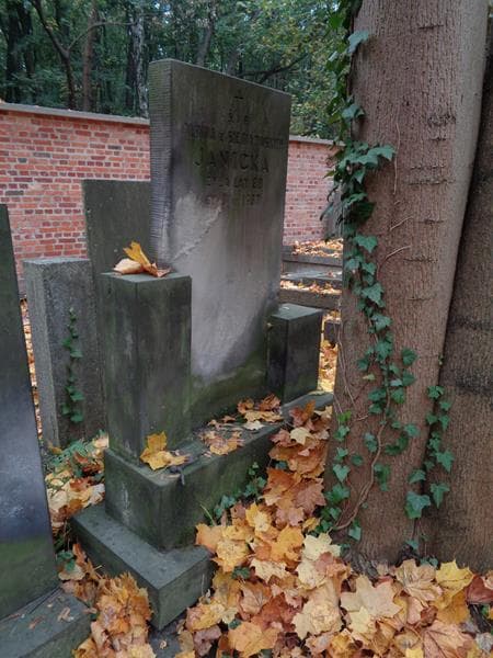 Zdjęcie grobu Albina Janicka (1)