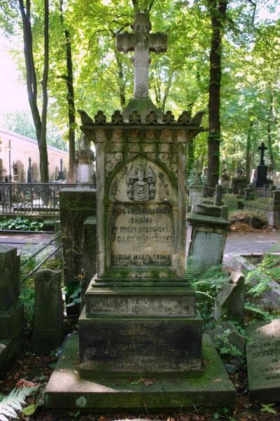 Zdjęcie grobu August Damięcki (2)