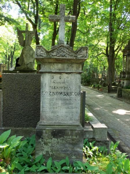 Zdjęcie grobu Marjan Rożnowski (1)