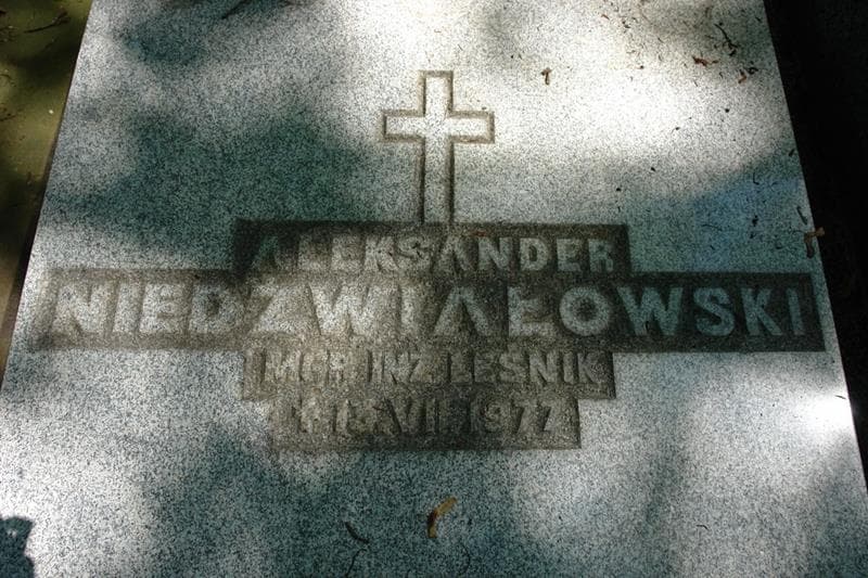 Zdjęcie grobu Teresa Niedźwiałowska-Wierzbicka (2)