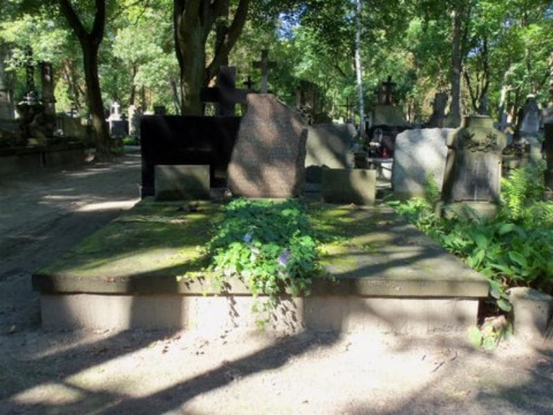 Zdjęcie grobu: Wacław Cyprian Brzeziński