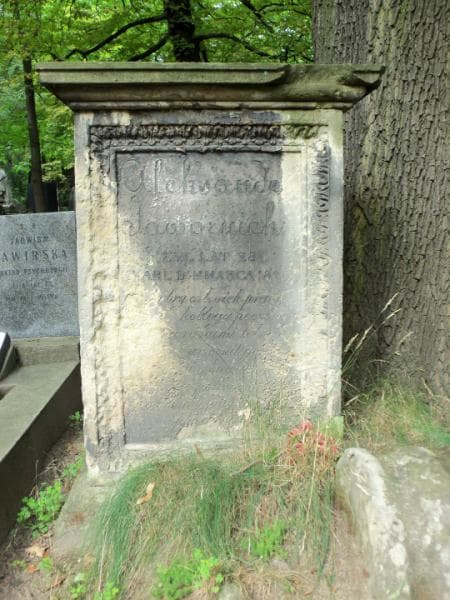 Zdjęcie grobu Aleksander Jawornicki (2)
