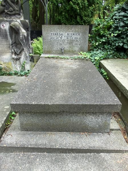 Zdjęcie grobu: Teresa Bieniek