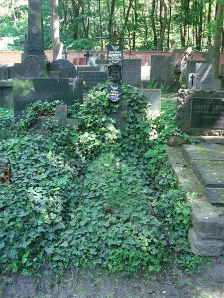 Zdjęcie grobu: Kwiryn Jatkowski
