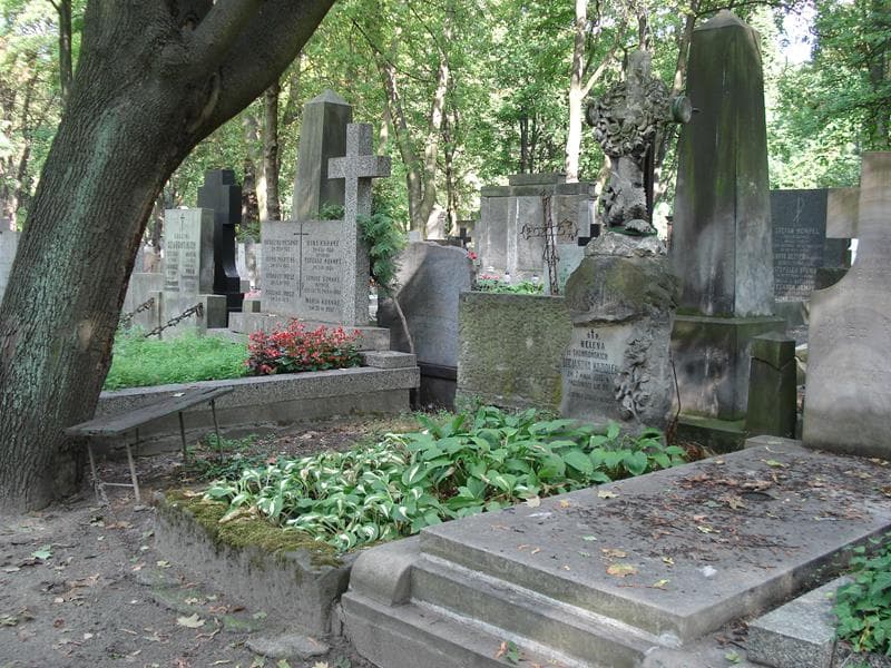 Zdjęcie grobu: Tadeusz Koziołek