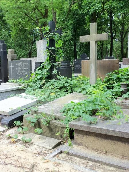 Zdjęcie grobu Kazimierz Wosiński (2)