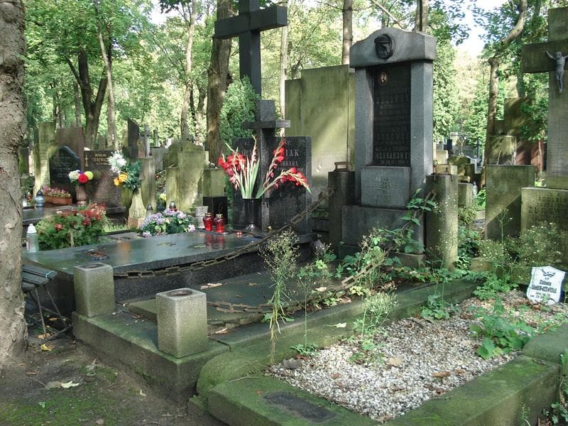Zdjęcie grobu Zofja Orłowska (1)