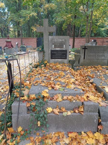 Zdjęcie grobu Włodzimierz Sediwy (1)